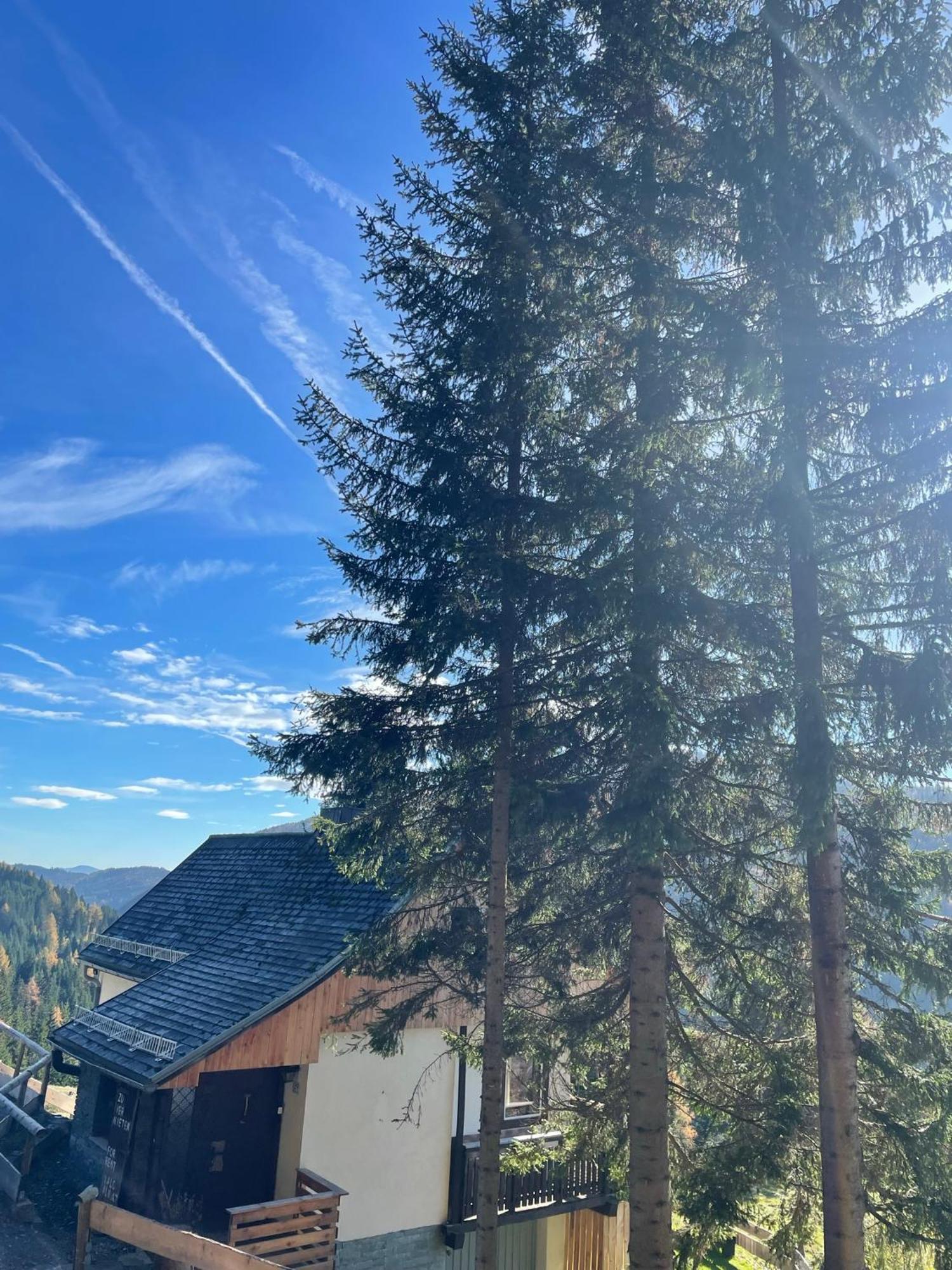 Lalo Alm - Berge Erleben Villa Lachtal Exterior photo